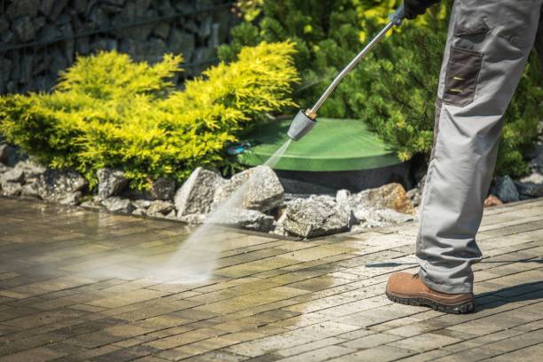 Best Winterizing Services  in Mount Vernon, VA